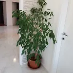 Appartement Luna